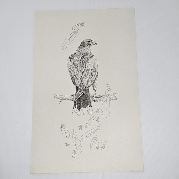 Harris Hawk Bird Art Prints Numbered & Artist Signed Wildlife Set Of 3 - Picture 16 of 16